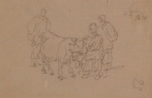 Study of Cattle