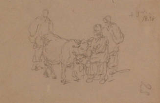 Study of Cattle