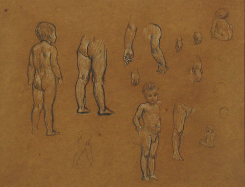 Studies of Boys